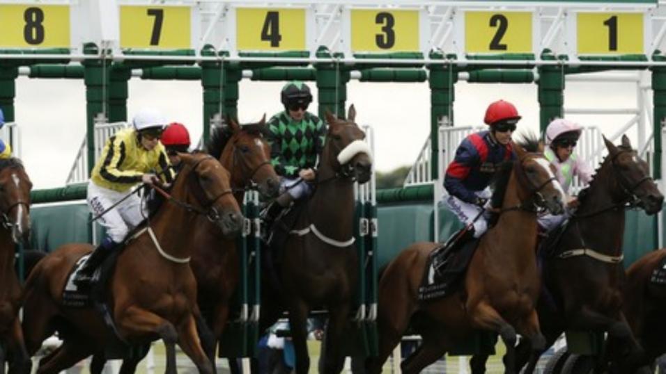 Timeform pick out their best three bets in South Africa on Wednesday